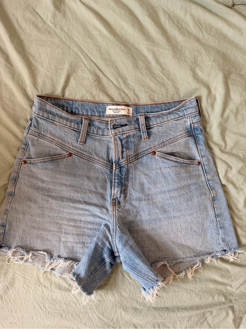 Abercrombie & Fitch Light Blue Denim Cutoff Shorts